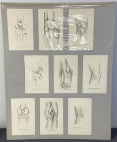 Anatomical Knee Pencil Drawings Signed Nine pencil drawings of the knee including skeletal and