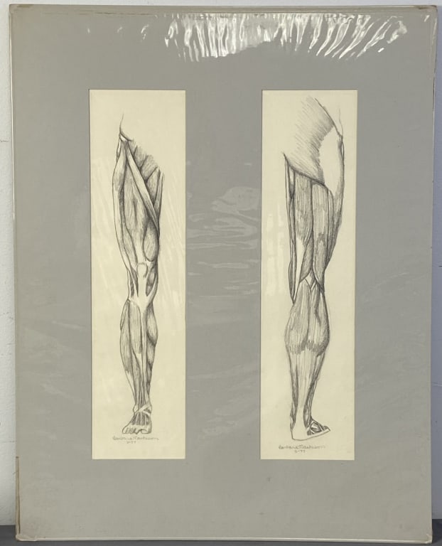 Anatomical Muscle Legs Drawings Signed Pencil drawings of front & back muscles of the leg in mat: Pencil drawings of front & back muscles of the leg in mat signed Barbara Matheson 1977. Drawings with mat are 22 X 28 inches in size.