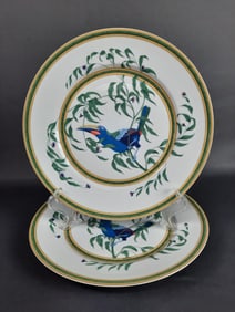 Hermes Toucans Dinner Plates & Box 10 inches. Utensil marks. No chips or cracks.
