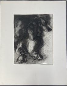 Dachshund Dog Pastel Crayon Drawing Drawing of a little sausage dog drawn in black and grey pastel