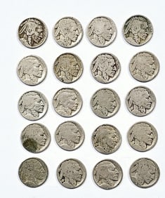 Lot of 20 Buffalo Nickels Dates Unknown #1 Condition as pictured.