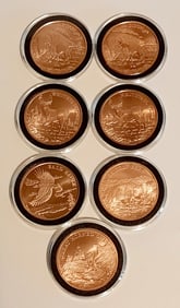 Copper Bison White Tail Deer Bald Eagle Grizzly Bear & Great Horned Owl