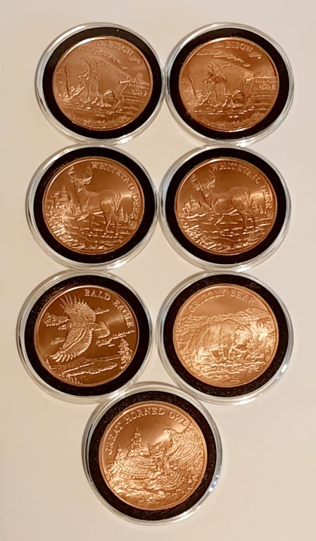 Copper Bison White Tail Deer Bald Eagle Grizzly Bear & Great Horned Owl (1 of 9)