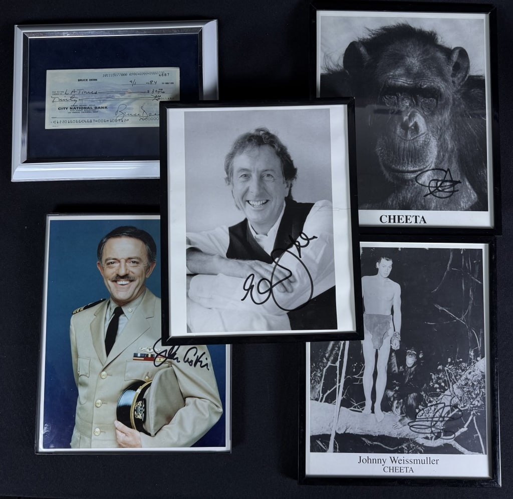 Mixed Grouping Celebrity Autographs 4 Signed 8 x 10 inch photos of John Aston, Eric Idle, Cheeta the: 4 Signed 8 x 10 inch photos of John Astin, Eric Idle, Cheeta the Chimpanzee. Check from 1984 signed by Bruce Dern. No certificates of authenticity.