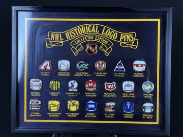 NHL Historical Logo Pins Collector Edition Enamel pins framed. See photos for included items. 10.5 x