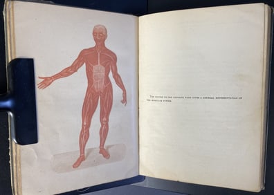 Antique Book The Human Body and Its Health The Himan Body and Its Health by William Thayer Smith.