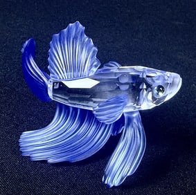 Swarovski Crystal Siamese Fighting Fish No chips or broken off bits. With original box (missing