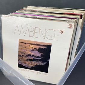 Vinyl Mystery Lot Folk, Jazz, Environmental Lot of over 30 vinyl LP albums including folk music,