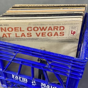 Vinyl Mystery Lot Showtunes Broadway Movies Lot of over 20 vinyl albums including South Pacific,