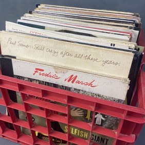 Vinyl Mystery Lot Paul Simon, Nat King Cole Etc Lot of over 60 vinyl records including Paul Simon,