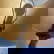 item-210681903=5