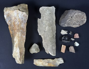 Mammoth & Mastodon Fossils w Others 3 large limb fragments likely from Mastodon or Mammoth. 1 piece