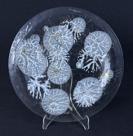 Vintage Higgins Art Glass Plate Platter Measures 11.5 x .5 inches. No chips or cracks. Please refer
