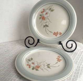 Floral Stoneware Dessert Plates Set of Two Pair of floral powder blue dinner plates in the Riverside: Pair of floral powder blue dinner plates in the Riverside pattern from the Impressions by Danielle line. Plates are in excellent vintage condition, no chips, cracks, or breakage of any kind. Light ora