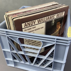 Vinyl Mystery Lot Williams Warwick Mendez Lot of over 20 vinyl records including Dionne Warwick,