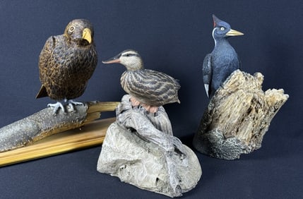 3 Resin Bird Replicas Duck Woodpecker Hawk Ivory Billed Woodpecker measures 10 inches tall. from Ma