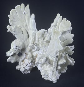 Natural Fire Coral Specimen Measures approximately 9 x 9 x 5 inches. Please refer to photos for
