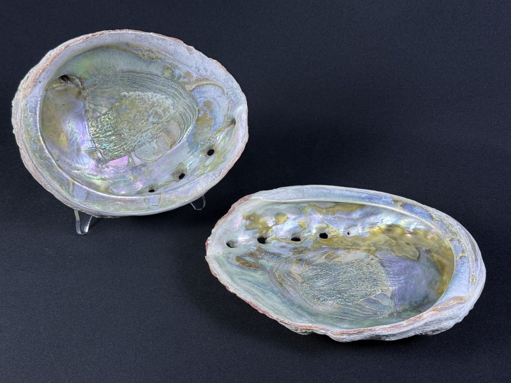 Pair Natural Large Abalone Shells 8 x 6.5 x 2 inches and 7.5 x 6 x 2 inches. Please refer to photos (1 of 5)