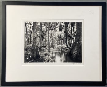 Clyde Butcher Photograph Signed & Numbered Loxahatchee #14, black and white photograph by Clyde