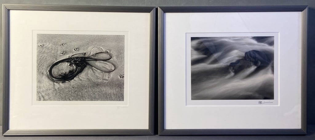 Seascape Photography Set of Two Signed PFF Two framed black and white photographs, one of kelp on (1 of 6)