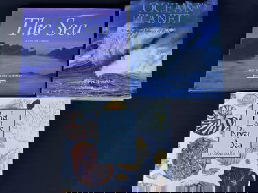 Ocean Books Set of Three Peter Benchley Please see photos for included titles, publishing