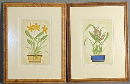 John Furches Floral Etchings Signed Two hand tinted etchings of flowers by John Furches, signed and
