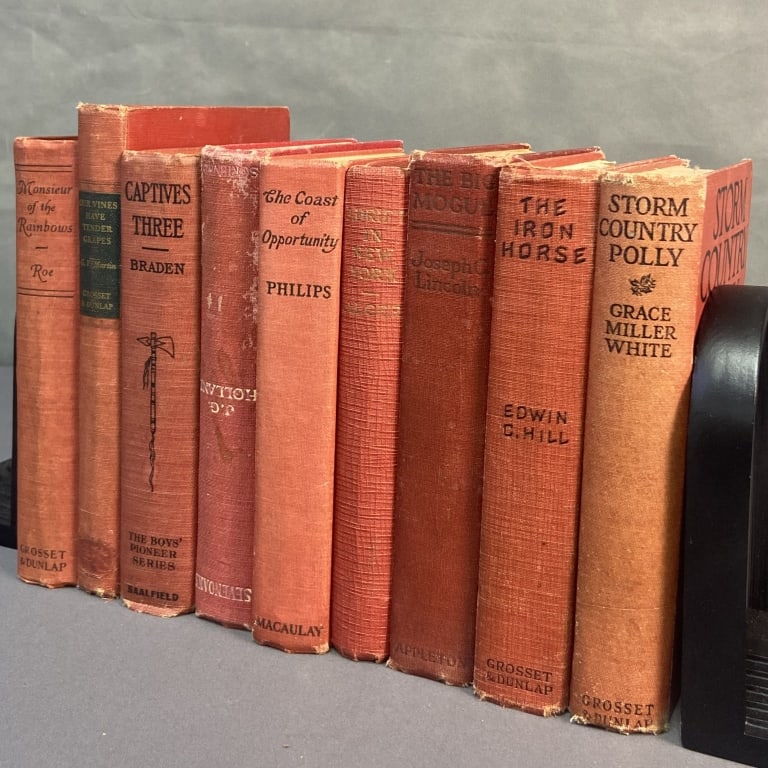 Red Covered Vintage & Antique Books Set of 9 Storm Country Polly by Grace Miller White. Published by (1 of 20)