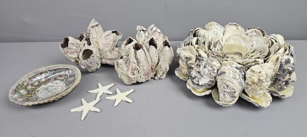 Assorted Ocean Life Including Abalone Shell Barnacle Clusters and Homemade Oyster Shell Candle