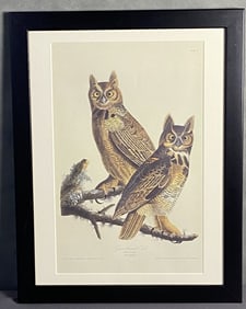 Audubon Horned Owl Bookplate Framed Great horned owl, drawn from nature by John J Audubon, engraving