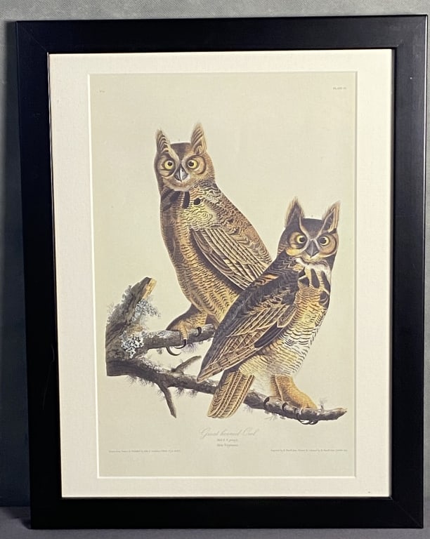 Audubon Horned Owl Bookplate Framed Great horned owl, drawn from nature by John J Audubon, engraving (1 of 7)