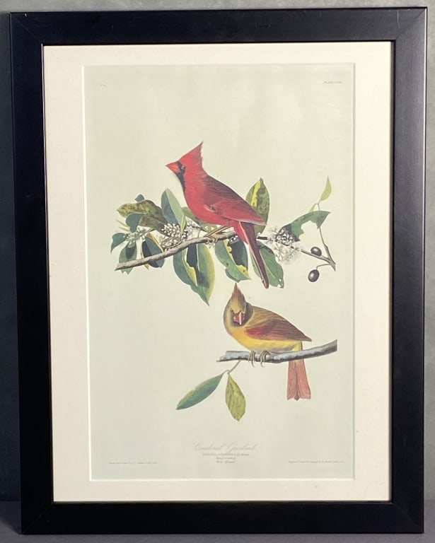 Audubon Cardinal Grosbeak Bookplate Signed Cardinal bird bookplate, drawn from nature by JJ Audubon, (1 of 8)