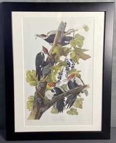 Audubon Pileated Woodpecker Bookplate Woodpeckers drawn from nature by JJ Audubon, engraved printed