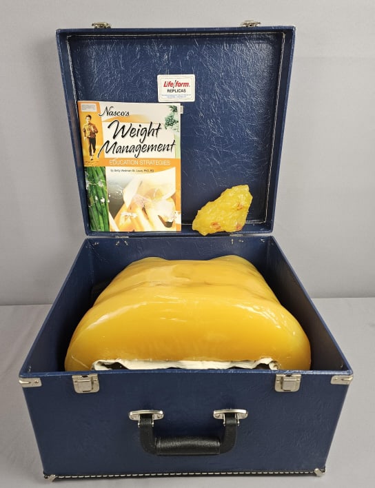 Nasco’s Lifeform Weight Management Body Fat Vest Large vest measures 14 x 12 inches tall.: Large vest measures 14 x 12 inches tall.