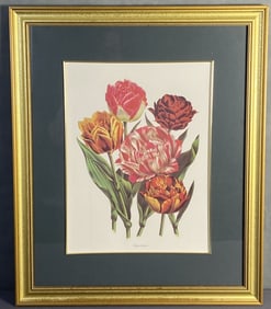 Tulips Floral Bookplate Framed Framed bookplate featuring a variety of pink, white, red, orange, and