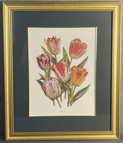 Pink & Orange Tulip Bookplate Framed Bouquet of a variety of tulips, unsigned. Artwork with frame is