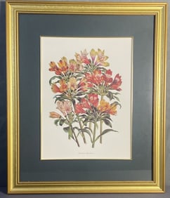Floral Tiger Lily Bookplate Framed Bookplate featuring tiger lily flowers. Artwork with frame is 20