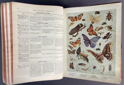 Antique Book Volume Library Color Plates 1914 The Volume Library a Concise Graded Repository of