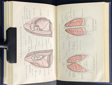Vintage Book Pocket Atlas of Anatomy Pocket Atlas of Anatomy by Victor Pauchet and S Dupret.