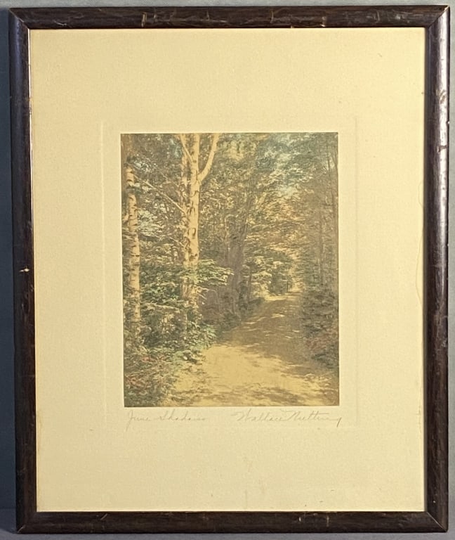 Wallace Nutting June Shadows Antique Photograph Hand tinted early 20th century photo by Wallace (1 of 5)
