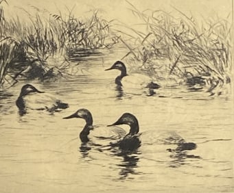 Roland Clark Signed Duck Etching Framed Etching of four swimming ducks by Roland H Clark, signed in