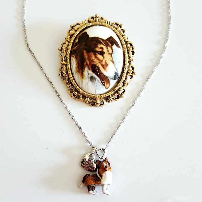 Bradford Exchange Silver Tone Collie Diamond Pendant Enamel On Metal Collie Charm & Gold Tone: Pendant Enamel On Metal Collie Charm & Gold Tone Porcelain Collie Portrait Brooch PinFor the best shipping rates, please select "Self-Arranged." Once you've done this, you will automatically be added