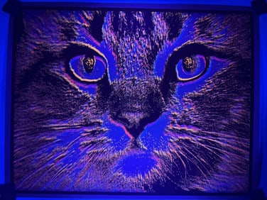 Psychedelic Cat Face Blacklight Poster 1970s Measures 29.75 x 23.1 inches Some small creases and