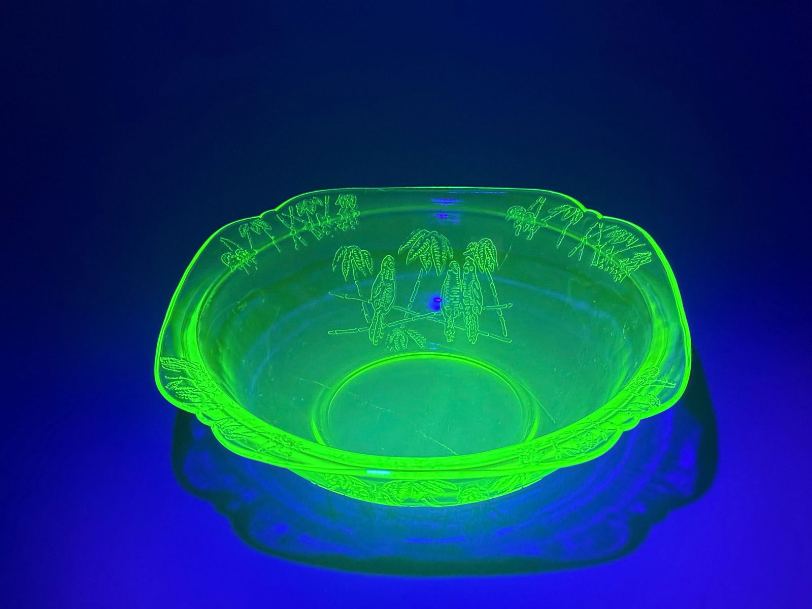Federal Glass 'Sylvan Parrot' Green Uranium Depression Glass Bowl (1 of 6)