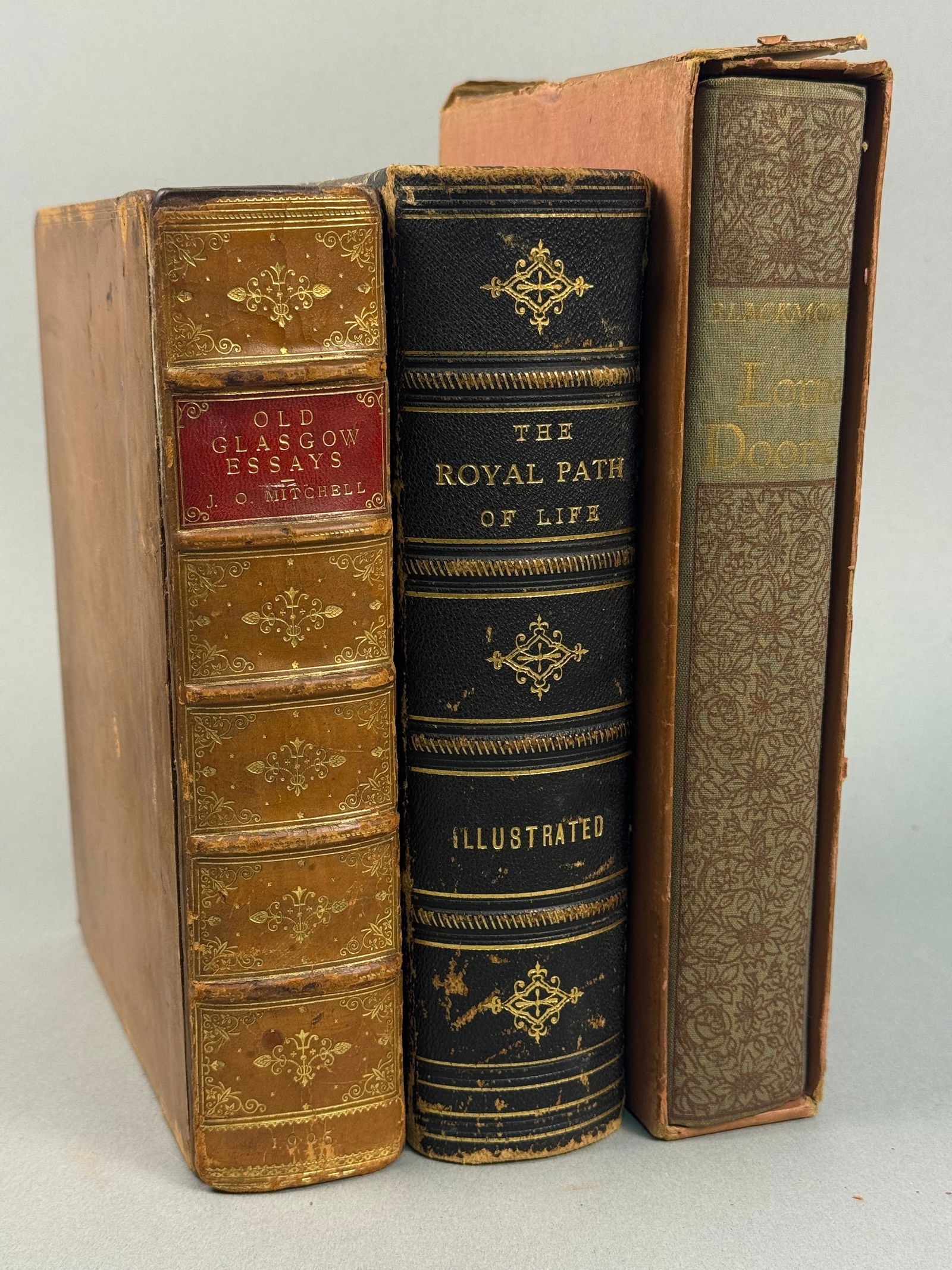A Group of Three Books, including 'The Royal Path of Life' by T. L. Haines and L. W. Yaggy, 1881 (1 of 10)