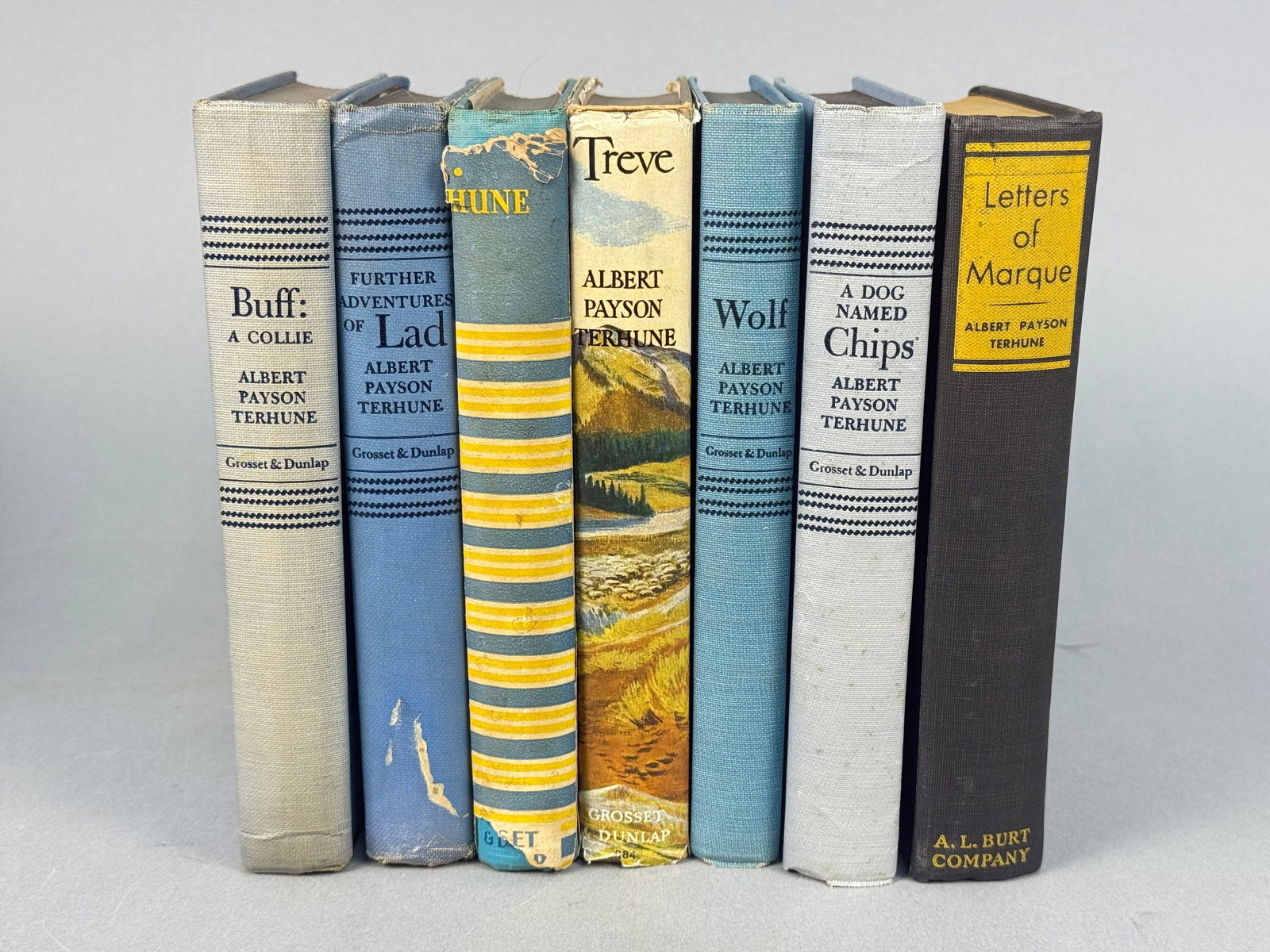 A Collection of Seven Early 20th-Century Albert Payson Terhune Dog-Themed Hardback Books (1 of 10)