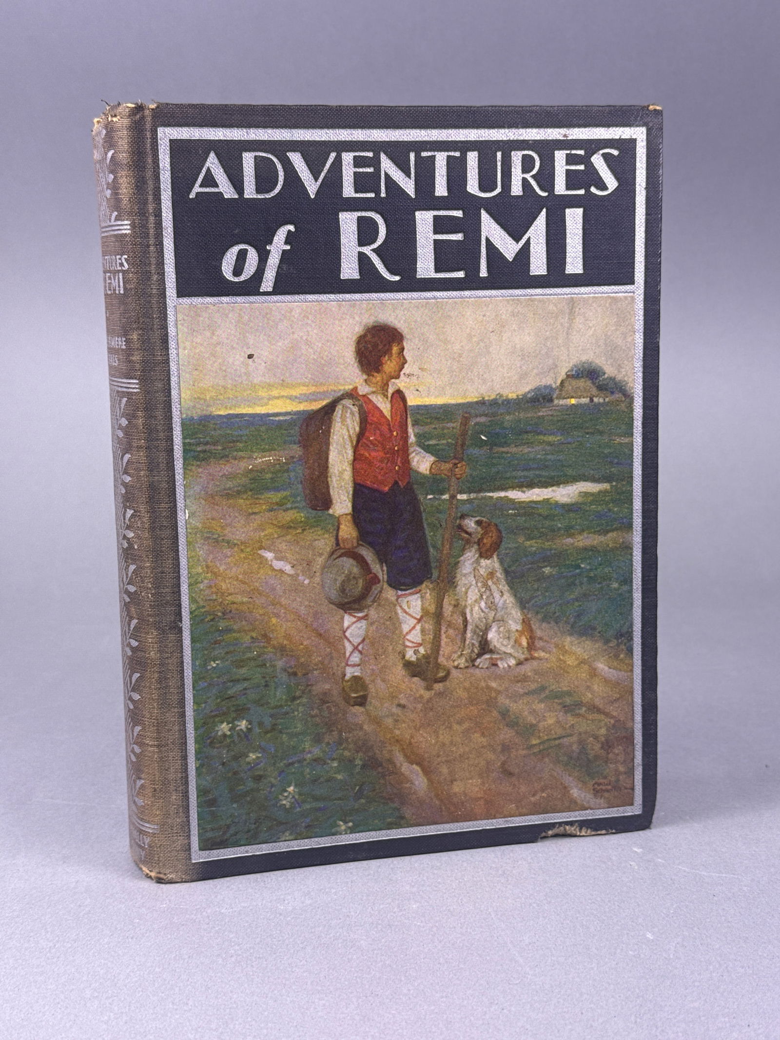The Adventures of Remi, The Windermere Series, by Hector Malot, translated by Philip Schuyler Allen, (1 of 5)