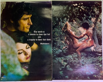 Vintage 1970s Posters