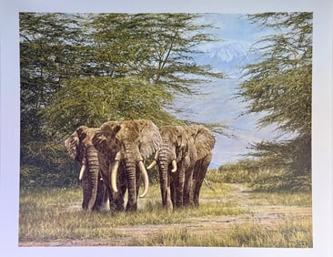 Simon Combes 'Amboseli Ancients' Limited Edition Print, 1980