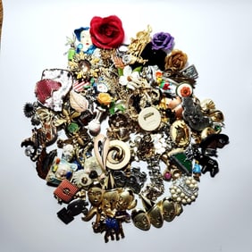 Mystery Costume Pins Brooches What Will You