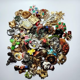 More Costume Pins Brooches What Will You Find???